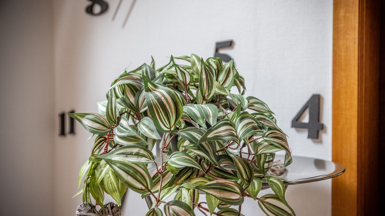 Dekoratives Detail Dekoratives Detail